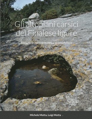 bokomslag Gli altopiani carsici del Finalese ligure