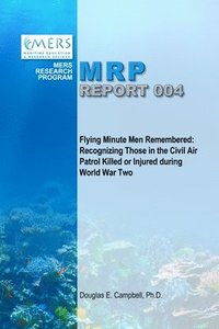 bokomslag Flying Minute Men Remembered