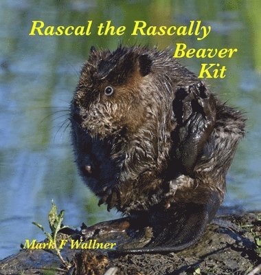 bokomslag Rascal the Rascally Beaver Kit