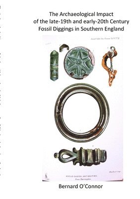 bokomslag Archaeological Impact of the late-19th and early-20th century fossils diggings in Southern England