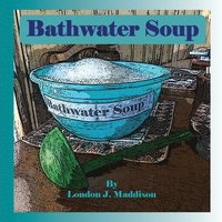 bokomslag Bathwater Soup