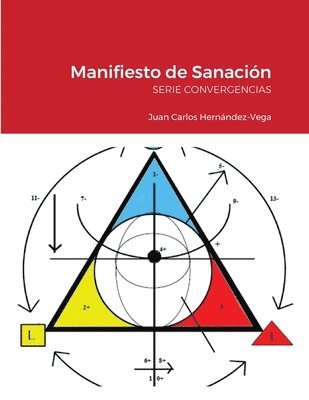 bokomslag Manifiesto de Sanacin