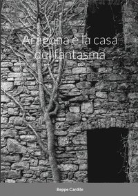 bokomslag Aragona e la casa del fantasma