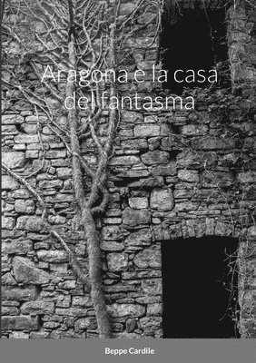 Aragona e la casa del fantasma 1