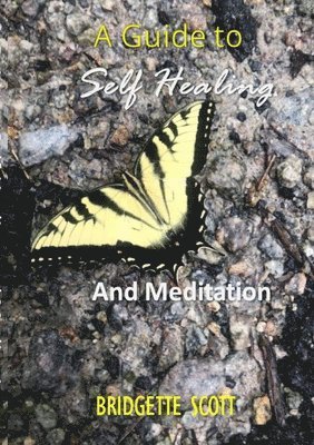 bokomslag Guide To Self-Healing and Meditation
