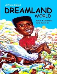 bokomslag Dreamland World