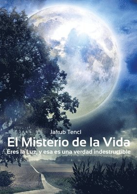 Misterio de la Vida