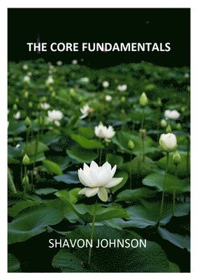 bokomslag The Core Fundamentals