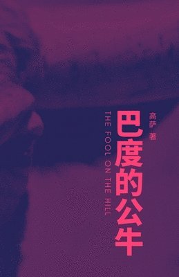 The fool on the hill