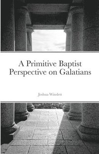 bokomslag A Primitive Baptist Perspective on Galatians