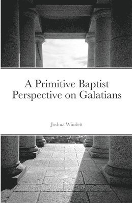 bokomslag A Primitive Baptist Perspective on Galatians