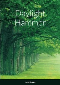 bokomslag Daylight Hammer