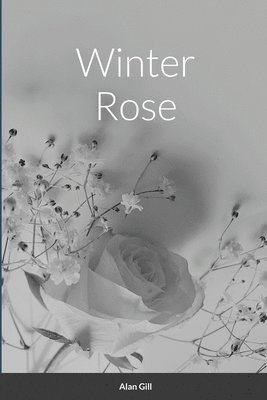 Winter Rose 1