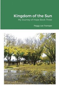 bokomslag Kingdom of the Sun