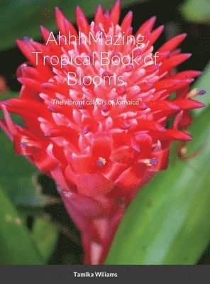 bokomslag AhhhMazing Tropical Book of Blooms