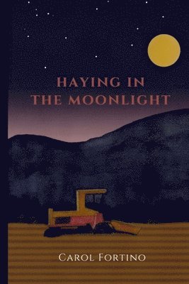 Haying in the Moonlight 1