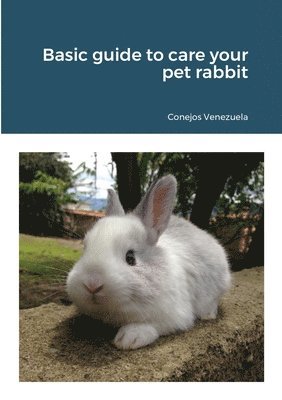 Basic guide to care your pet rabbit 1