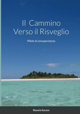 bokomslag Il Cammino Verso il Risveglio