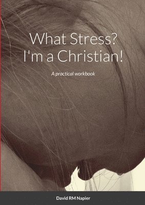 David Napier - What Stress? I'm a Christian!, Häftad