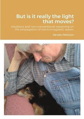 Renato Pellizzon - But is it really the light that moves?, Häftad