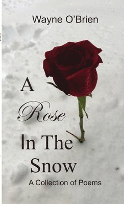 Wayne O'Brien - Rose In The Snow, Häftad