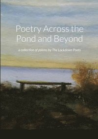 bokomslag Poetry Across the Pond and Beyond