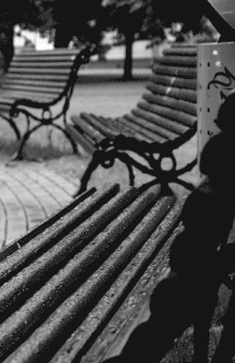 Amirali Baniasadi - I Will Name You Baran, Häftad