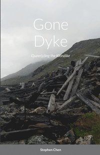 bokomslag Gone Dyke