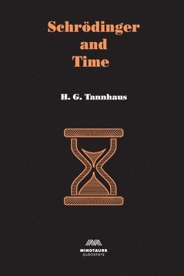 bokomslag Schrödinger and Time