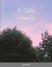 bokomslag A Safe Haven