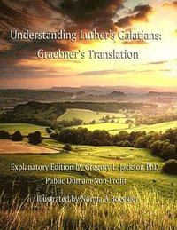 bokomslag Understanding Luther's Galatians