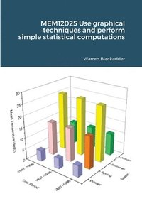 bokomslag MEM12025 Use graphical techniques and perform simple statistical computations