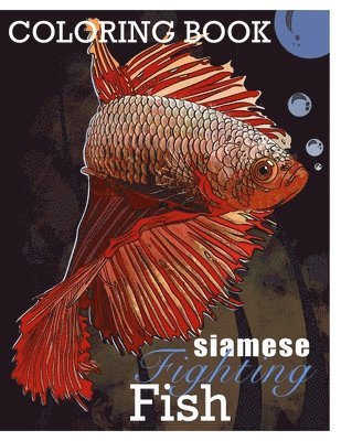 Siamese Fighting Fish Betta Fish Coloring Book 1