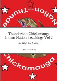 bokomslag Thunderbolt Teachings Vol 2