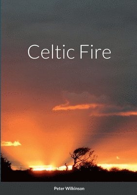 bokomslag Celtic Fire