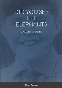 bokomslag Did You See the Elephants
