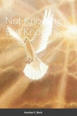 bokomslag Not Knowing But Knowing