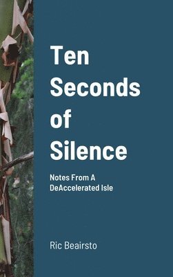 Ten Seconds of Silence 1