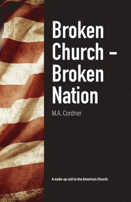 bokomslag Broken Church - Broken Nation