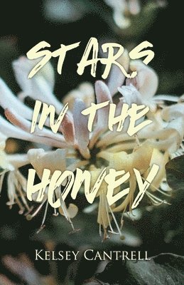 bokomslag Stars in the Honey