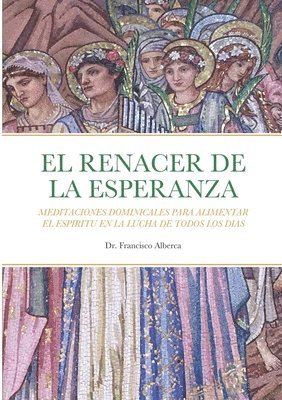 bokomslag RENACER DE LA ESPERANZA Año Litúrgico C