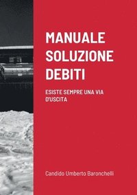 bokomslag Manuale Soluzione Debiti