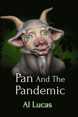 bokomslag Pan And The Pandemic