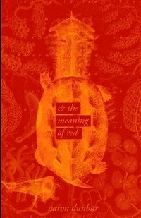 bokomslag worm called chaos and the meaning of red