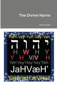 bokomslag The Divine Name
