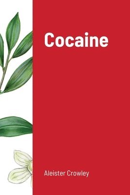 bokomslag Cocaine