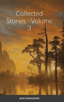 bokomslag Collected Stories - Volume 3