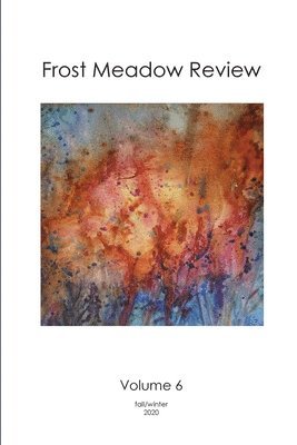 Emily Matthews, Patrick Stanton - Frost Meadow Review Volume 6, Häftad