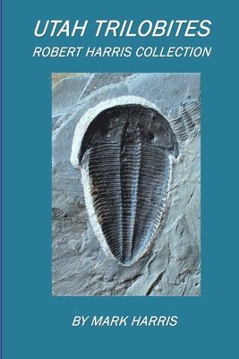 bokomslag Utah Trilobites