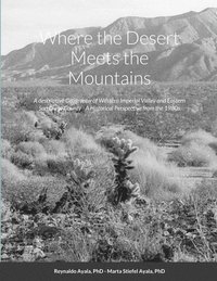 bokomslag Where the Desert Meets the Mountains